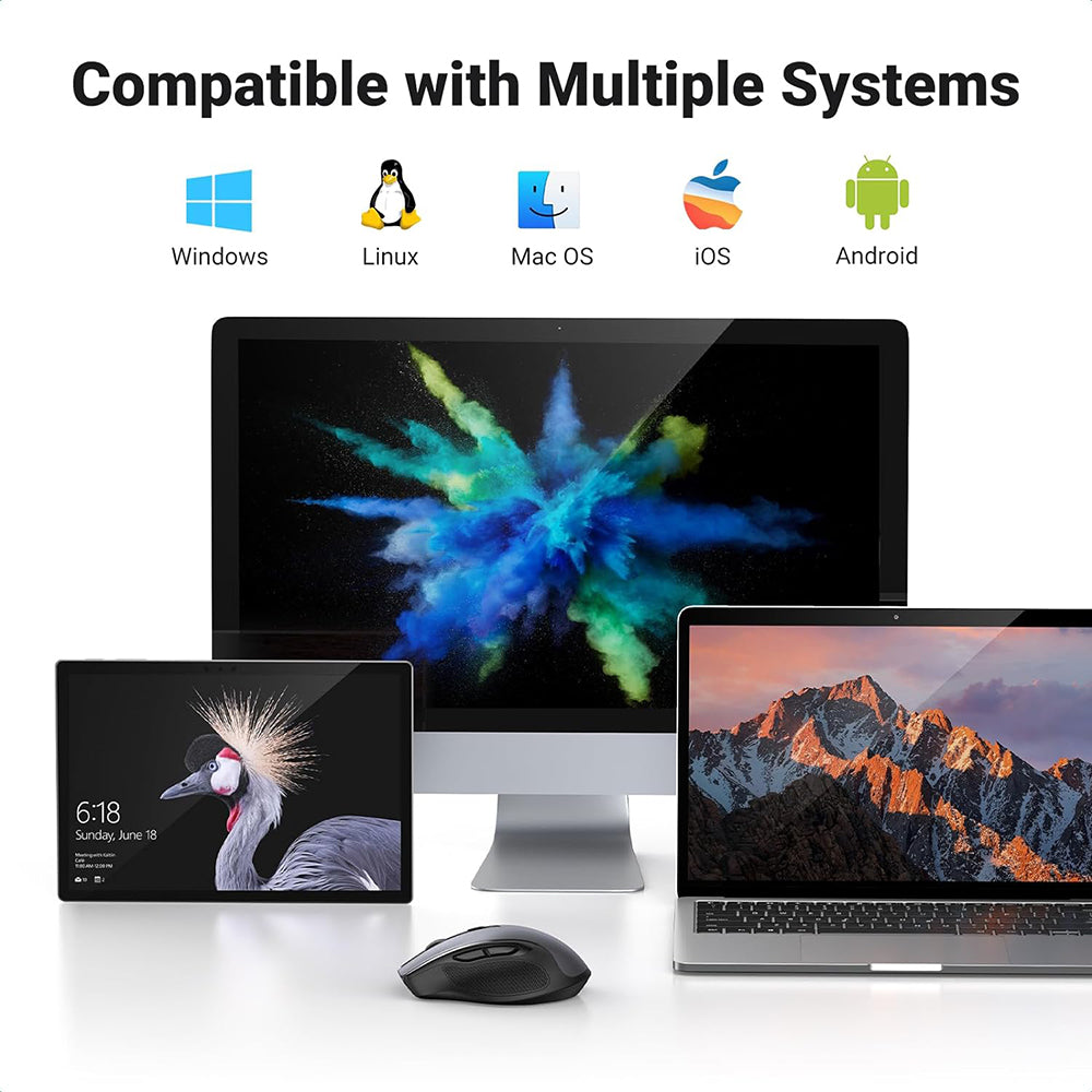 Souris sans fil – Conception ergonomique profilée