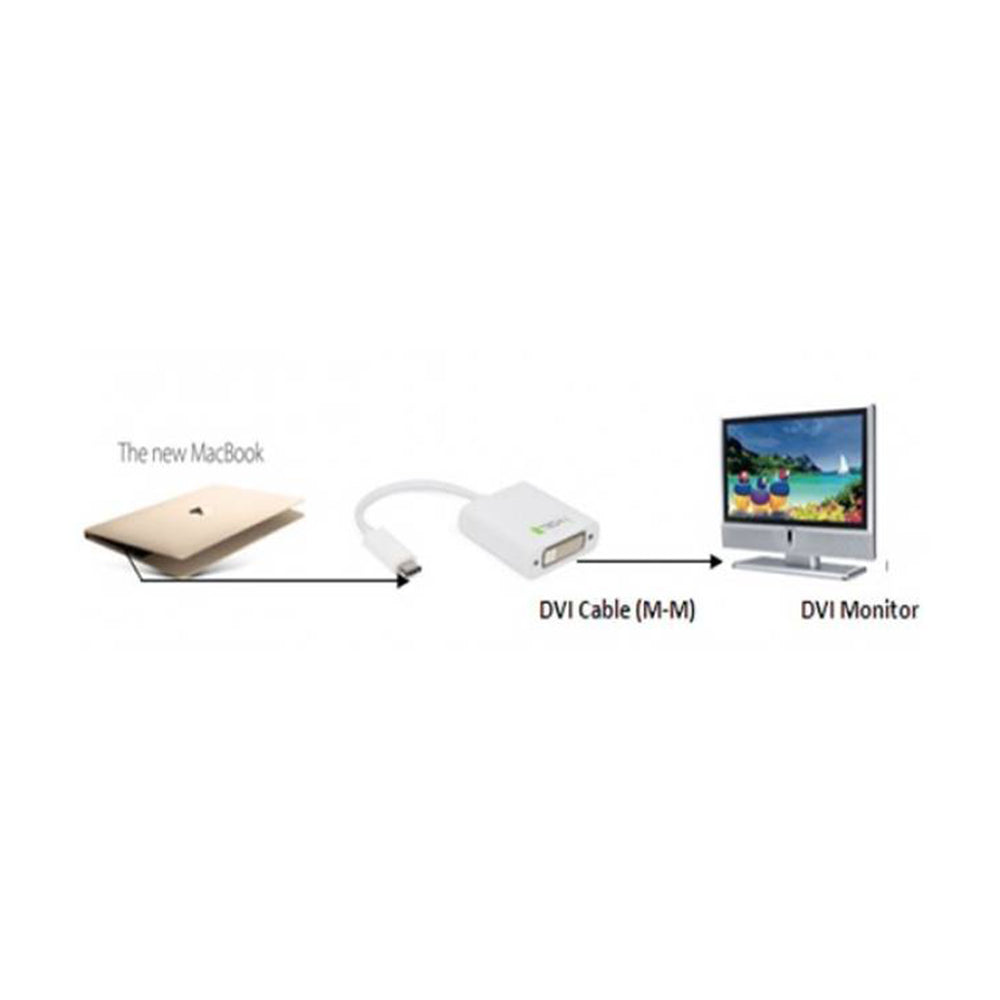 Câble convertisseur USB-C 3.1 vers DVI F