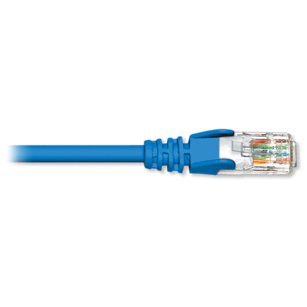 Câble de raccordement Cat6A, solide - BL, 14 pieds bleu