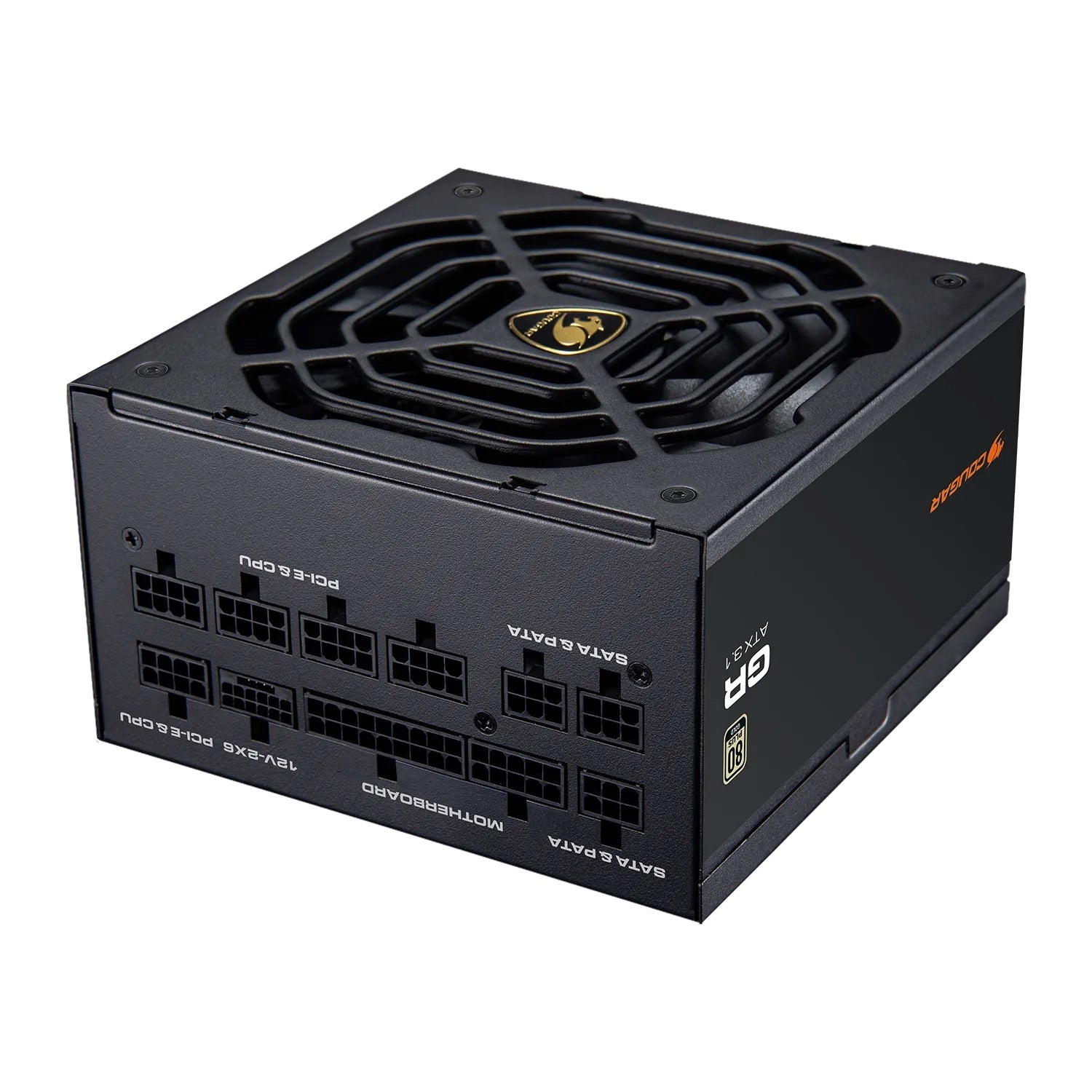GR 1000 - PSU