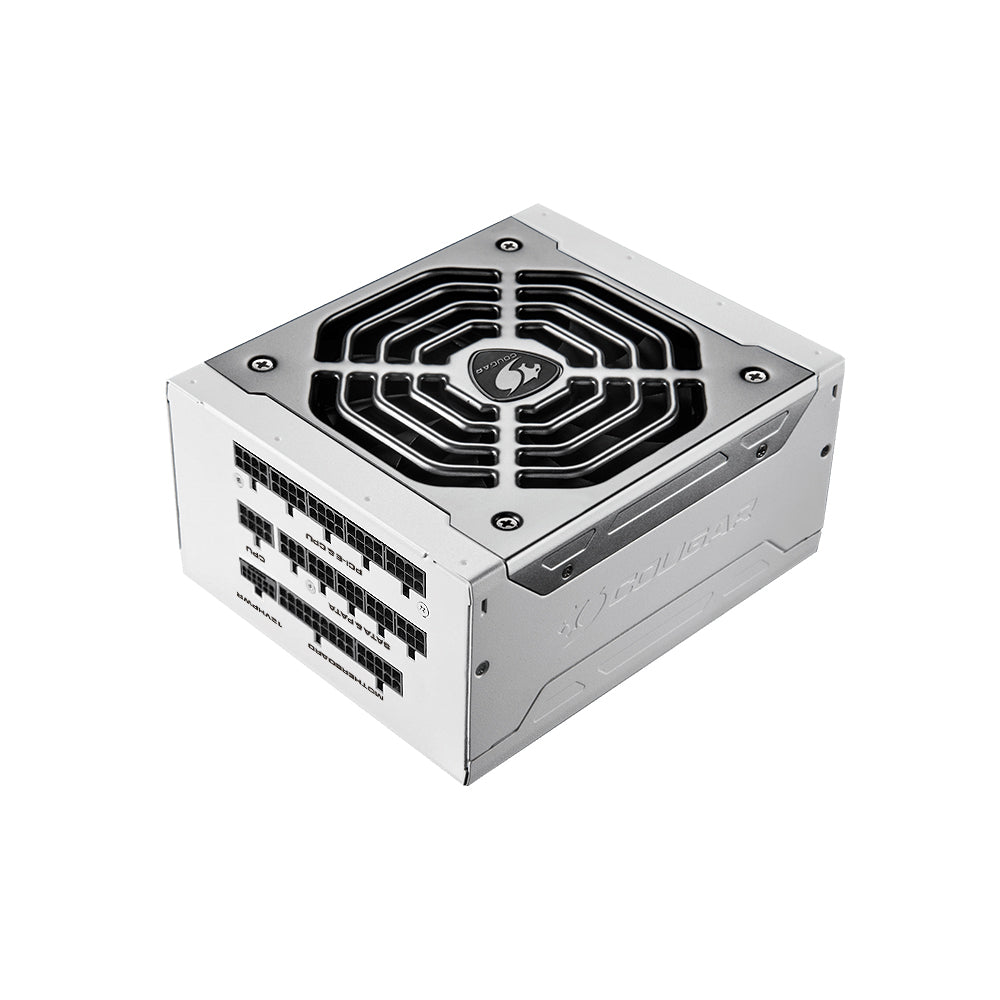 Bloc d'alimentation POLAR X2 1050