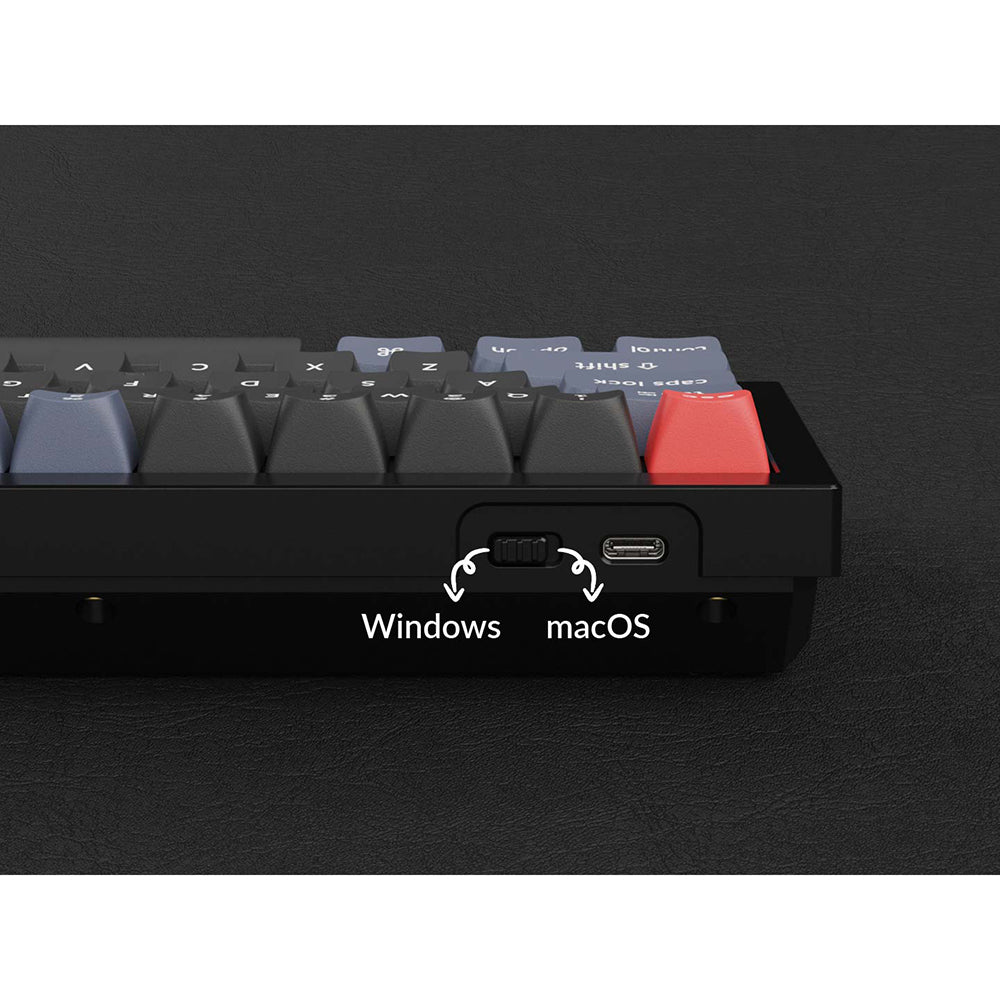 Q4 Bleu - Gateron Pro Marron